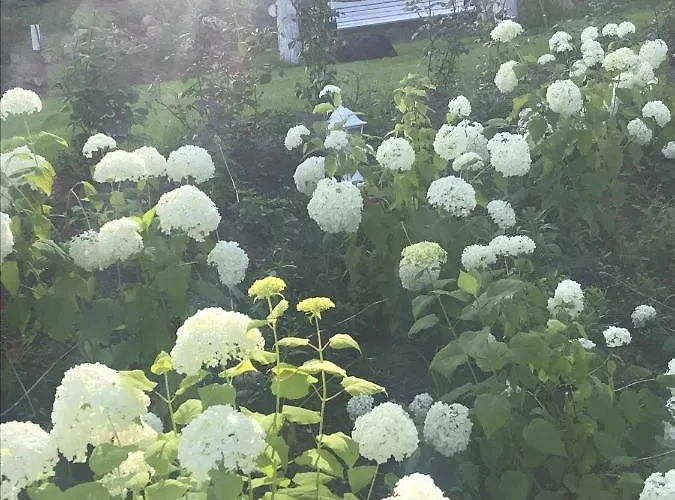 Sielsko Anielsko- Na Kaszubach Z Widokiem Na Jezioro Villa